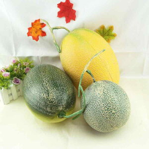 HiTv {  vX`bN t[c ʕ  fBXvC  JtF CeA j[N qp   fR[V ͌^