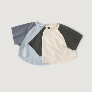 xr[ Ԃpi gbvX TVc  Vv JWA K  q c LbY 