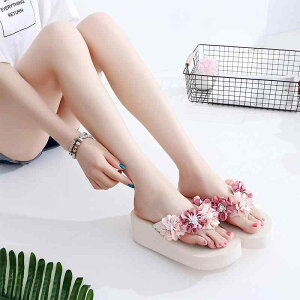 �T���_�� �r�[�`�T���_�� �����p �X���b�p �� �؍� �t�����[ �A�E�g�h�A �E�F�b�W�q�[�� ���� �J�W���A�� ���o�[ ���W���[ ���]�[�g �x�� �r�[�` �o�J���X �_��