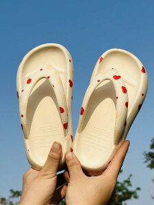 �T���_�� ���f�B�[�X �� �A�E�g�h�A �r�[�` �f�� �\�t�g�\�[�� �r�[�` ���[�q�[�� ���b�g�{�g�� ����