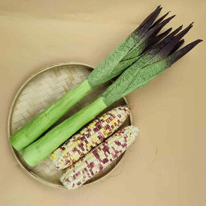 HiTv { AXpKX vX`bN    fBXvC tFCN Xg j[N qp 