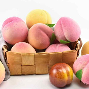 HiTv { vX`bN  s[` tFCN t[c ʕ  A j[N JtF CeA fBXvC qp  vJ W