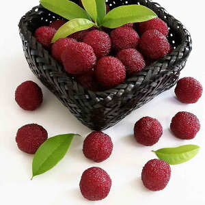 V~[V t[c HiTv { CeA A fR[V  XCX ubR[ X X i tHgvbv S C`S A