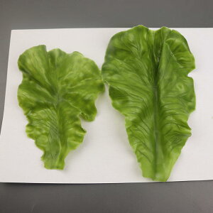 HiTv { Tj[^X t    vX`bN fBXvC tFCN A j[N _炩 JtF CeA q 