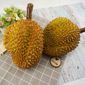 食品サンプル 見本 ドリアン プラスチック 食品模型 サンプル リアル感 ショーウィンドウ ホームデコレーション 装飾品 プラスチック フェイクフード フルーツ 写真撮影 小道具