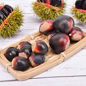 I V~[V HiTv CeA fBXvC ͌^ vX`bN tFCNt[h RNV 狳 tHgvbv X 