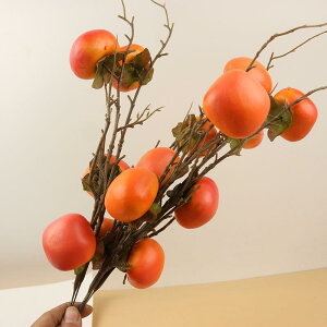 HiTv JL  ʕ t[c fBXvC W tFCN  JtF CeA z[fR X^CbV j[N A lA