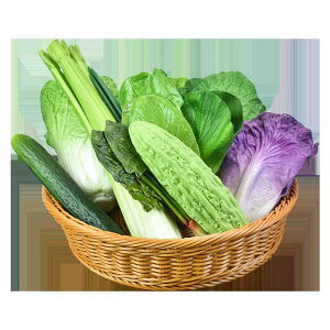 V~[V  vX`bN tFCNt[h HiTv ^X Lxc イ  XgA Vbv X[p[}[Pbg V[EBhE i