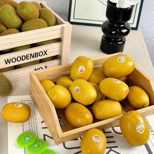 HiTv { t[c V~[V LEC JtF Vbv i A V[EBhE fBXvC ʐ^Be tHgvbv RNV CeA 