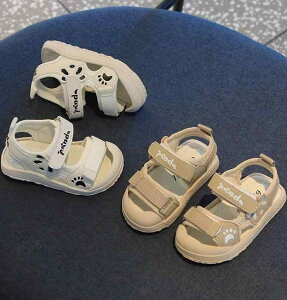 LbY V[Y C c q \tg p_ T_ S ~ ܐ ی K[h oh \ Ƌ  x[W 12D5`16cm y ʋC NbV