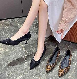 fB[X V[Y q[ ~hq[ pvX wlC 5cm |CebhgD ܐ Ƃ񂪂  qE  XF[h {[v   OWA[ GKg