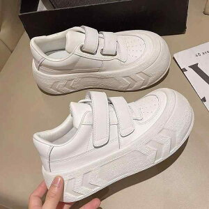 fB[X  V[Y Xj[J[ C rbOwbh I j[N  [XAbv JbW t@bV JWA y X^CbV