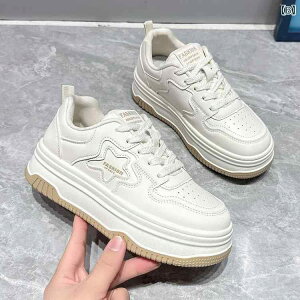 C Xj[J[ fB[X   JWA V[Y X^CbV [XAbv ₷ mN  AEghA