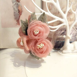 fB[X wAANZT[ TNbv  t[  tFA[ 킢 JWA tF~j i ؂₩ [X ؍ t@bV fC[ Mtg