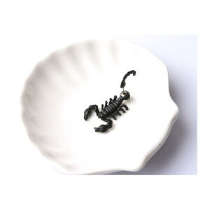 Y sAX ANZT[ T\ j[N Vv JWA I g NVbN ؍ GbW VbN ~j} X^CbV yA Mtg