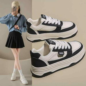 fB[X t@bV w HR[f V[Y Xj[J[ zCg _炩  Sn ʋC K JWA fC[ ʊw X^CbV