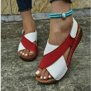 �T���_�� ���f�B�[�X ���ĕ� ���[�} ���� �v���b�g�t�H�[�� �}�W�b�N�e�[�v ���� �ʋC�� �I�[�v���g�D ���E���h�g�D ������v PU���U�[ �r�[�` ���]�[�g �J�W���A�� �t�� �u���b�N ���b�h