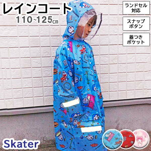 ysz CR[g LbY qp (ǂ c w wN hZΉ j̎q ̎q bNΉ ʊw ʉ ct wZ  Jbp h }CfB g