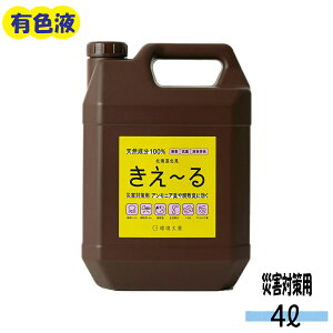 [ ЊQ΍p 4L Lt LFt ( L R ЊQ ȈՃgC ݎ莮gC  S~ {  VR100 sL F ΍ ɂ  L L  Y 