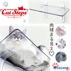 y[J[zLbgXebv NA Pi(^JY Lbg Xebv Cat Steps L Lp  ܂錩 ybgpi ybg ǖ )