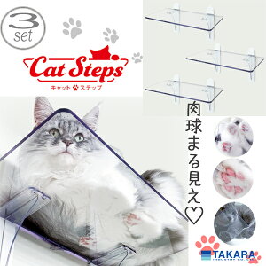 y[J[zLbgXebv NA 3Zbg(^JY Lbg Xebv Cat Steps L Lp  ܂錩 ybgpi ybg ǖ ǎt  )