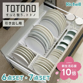 トトノ ディッシュスタンド セット 引き出し用 ( totono 食器ラック 食器スタンド キッチン 収納 引き出し 食器収納 立てる収納 お皿 収納 ミニ レギュラー ワイド 台所 皿立て お椀立て 洗える 大皿収納 区切れる 取り出しやすい 抗菌 耐熱 整理 清潔 リッチェル )