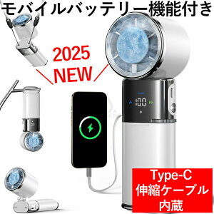 _SALE10%off^nfBt@ pv[g ^[{(10600+rpm) 6000mAhe 莝@ Type-CLkP[uiX}z[dΉjgѐ@ 100iKʒ  USB[d LEDt 135°