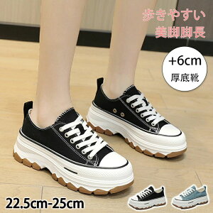 Xj[J[ C V[Y fB[X w l X|[cV[Y C X|[c V[Y EH[LOV[Y gbLOV[Y oRC ~ +6cm r ₷ 