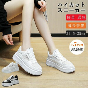 Xj[J[ fB[X 22.5-25.0cm Xm[u[c JWAV[Y 5cm q[ ʋC y gAbv r ₷ Ȃ L tH ʊw ʋ ؍t@bVXj[J[