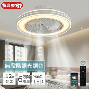 2025 シーリングファンライト 12畳 ファン付き照明 LED シーリングファン サーキュレーター シーリングライト リモコン付き 8畳 10畳 風量調節 常夜灯 DCモーター 空気循環 照明器具 省エネ 部屋