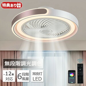 V[Ot@Cg dc[^[ V[Ot@ LED t@tƖ Ɩ 50cm 6 8 12 T[L[^[  F IV VƖ V[OCg k @ Cz