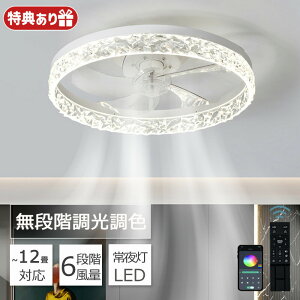 V[Ot@Cg dc[^[ V[Ot@ LED t@tƖ Ɩ 50cm 6 8 12 T[L[^[  F IV VƖ V[OCg k @ Cz