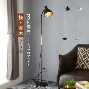 AAAZM tAv X^hCg  k LEDΉ CeAƖ tACg A[`^ ؖ ؐ tA[X^hƖ Ǐ fUCi[ d iCgCg 邢 u 