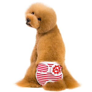 p }i[pc Tj^[pc bVpc ̎qp pi q o pi X ivL }eCXg {[_[ bh u[ ubN