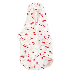  p[J[   hbOEFA ^ ^  ĕ t t[ht  킢  ybgObY ybgpi p Lp Ē Cg  jR  L ybg ybgp