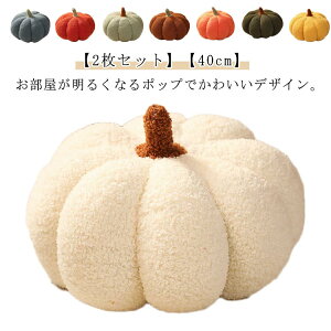 ڂ 40cm n NbV u CeA I[ig   p[eB[ ʂ  蕨 Be NbV NX}X nEB[ ڂ v