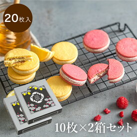 ラ・メゾン ショコラサンド・フリュイ20枚入り（1箱10枚入×2箱） スイーツ お菓子 贈り物 贈答用 焼き菓子 母の日 おすすめ