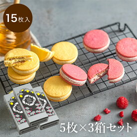 ラ・メゾン ショコラサンド・フリュイ15枚入り（1箱5枚入×3箱） スイーツ お菓子 贈り物 贈答用 焼き菓子 母の日 おすすめ