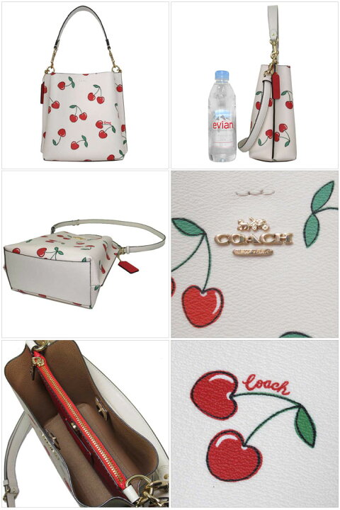 楽天市場】コーチ ショルダーバッグ COACH モリー バケット 22・ハート 