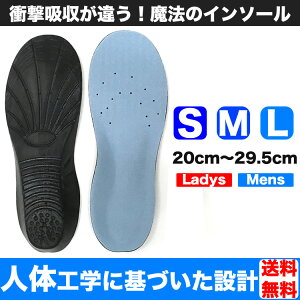 C\[ ՌzC\[ ~ y܂  TCY\ A[`݌v hLH Y Xj[J[ C [֑ pPbg3cm