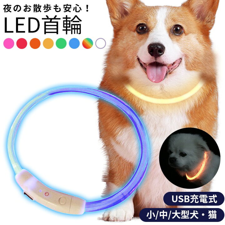繁栄 降伏 下品 犬 光る 散歩 類人猿 キャプション 哲学者