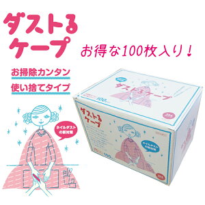 y y z_XgP[vi100jiDUST-2jDUST Wo@@lC_Xg r[eB[lC[y[֕sz