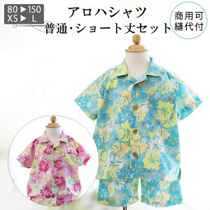 yLO1ʊlz q l ^ AnVc  Vc xr[ xr[ q 䂵EFA ăR[f ZR[f oR[f  }} fB[X Y Ƒ n