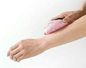 AJX uV(SV-6445)w C {fB ŃGXe oX {fBPA si