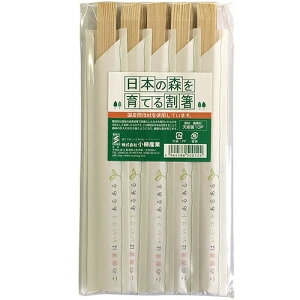 {̐XĂ銄 V10P(29085)Y蔢 10{Zbg A GR Ԕ BBQ p[eB[ ܓ Ɩpy{zy[֑Ήz