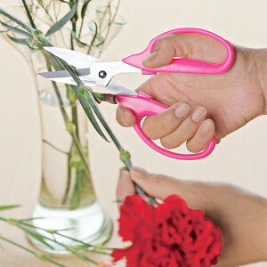 t[͂ (SV-4922)  t[AWg  nT~ 킢 sN  p ~jTCYy[֑Ήz