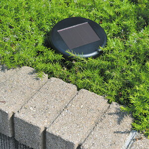 \[[OފDX (SV-6384) y nlY~ K[fjO ƒ؉ GR ܕsv hbpi Qb΍ u