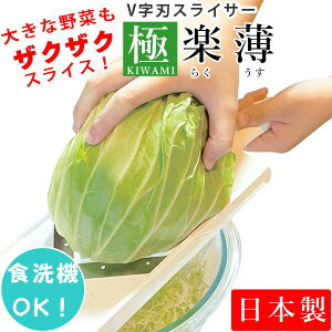 XCT[ Vn L Lxc XCT[uɊyi炭E݁jviCV-010)Lxc ؂ XCX Sz_[t Ch Ɩp Œ S y  傫 T_ ȒP ؂ꖡ 