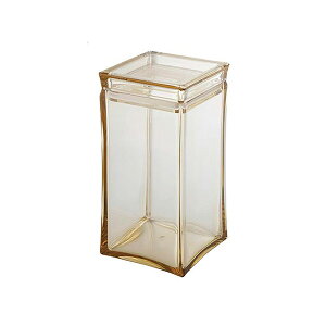 Ao[ XNGALjX^[ L (025020) 10×10cm   [P[X Rbg Tj^[ q p^ ߐF [