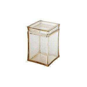 Ao[ XNGALjX^[ M (025021) 10×10cm   [P[X Rbg Tj^[ q p^ ߐF